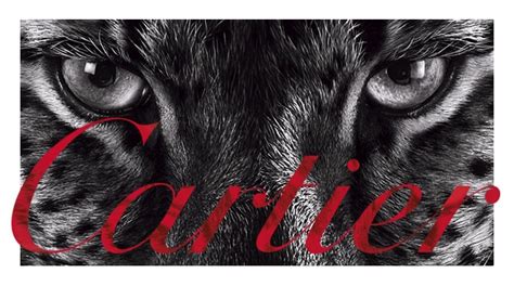 cartier career|cartier career opportunities.